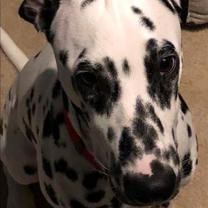 Meet your Posher, Heather